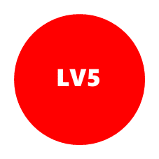 LV5 - Velasques